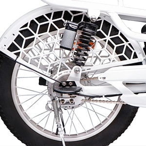 fat tyre 3.0  250-500 W Brushless Motor with 48V/60v 10ah/48VLithium battery electric bike
