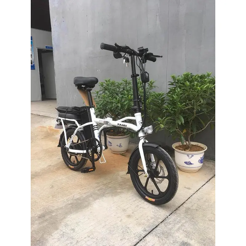 Battery electric bike MINI lithium battery removable brushless motor 240W city e bike 14