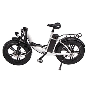 Adult 20 inch AL-ALLOY 6061# Fframe 48V350W brushless 48V10AH lithium battery foldable electric bike