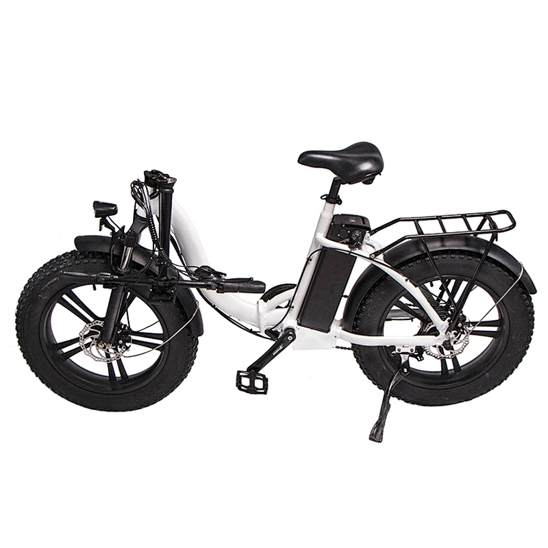 Adult 20 inch AL-ALLOY 6061# Fframe 48V350W brushless 48V10AH lithium battery foldable electric bike