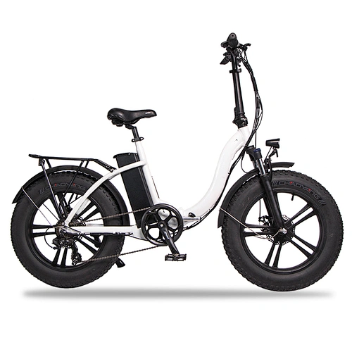 Adult 20 inch AL-ALLOY 6061# Fframe 48V350W brushless 48V10AH lithium battery foldable electric bike