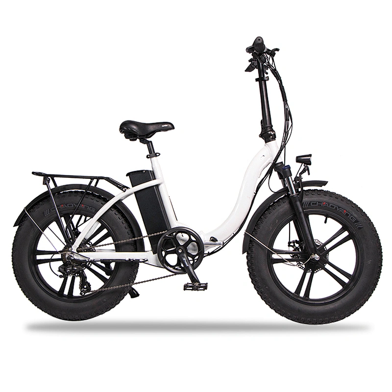Adult 20 inch AL-ALLOY 6061# Fframe 48V350W brushless 48V10AH lithium battery foldable electric bike