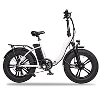 Adult foldable road ebike 20''x4.0 tyres 48V350W motor 10ah/48V lithium removable battery electric bike