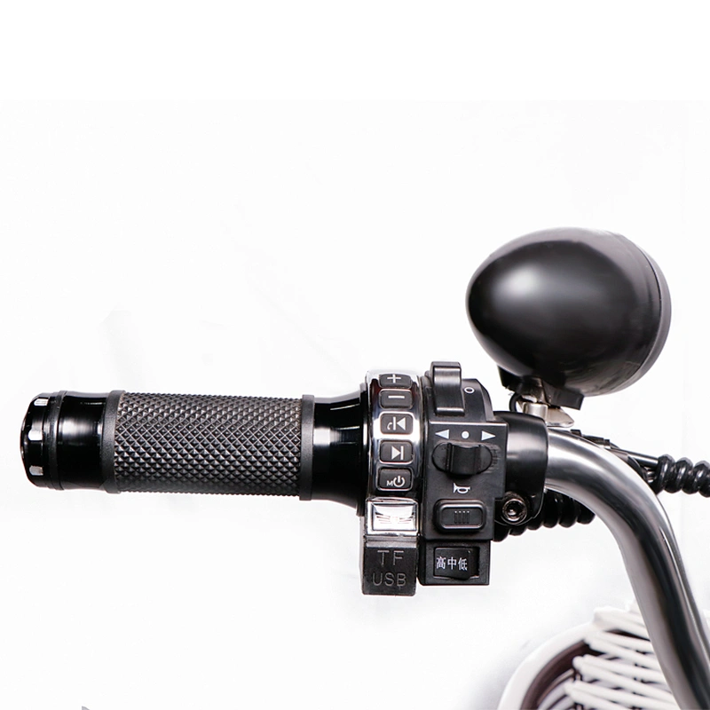 N5  man woman city 48v350w motor 48v10ah lithium battery electric bike