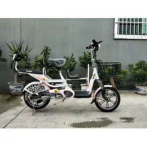 3-SEATS Battery electric bike FEIER 240-350w brushless motor 48v 10-12ah lithium battery high carbon steel frame
