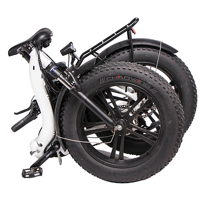 Adult 20 inch AL-ALLOY 6061# Fframe 48V350W brushless 48V10AH lithium battery foldable electric bike