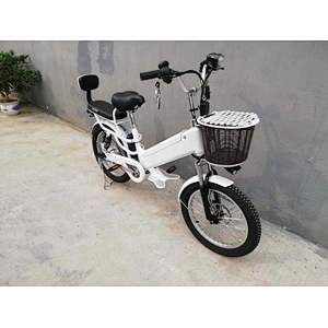 fat tyre 3.0  250-500 W Brushless Motor with 48V/60v 10ah/48VLithium battery electric bike