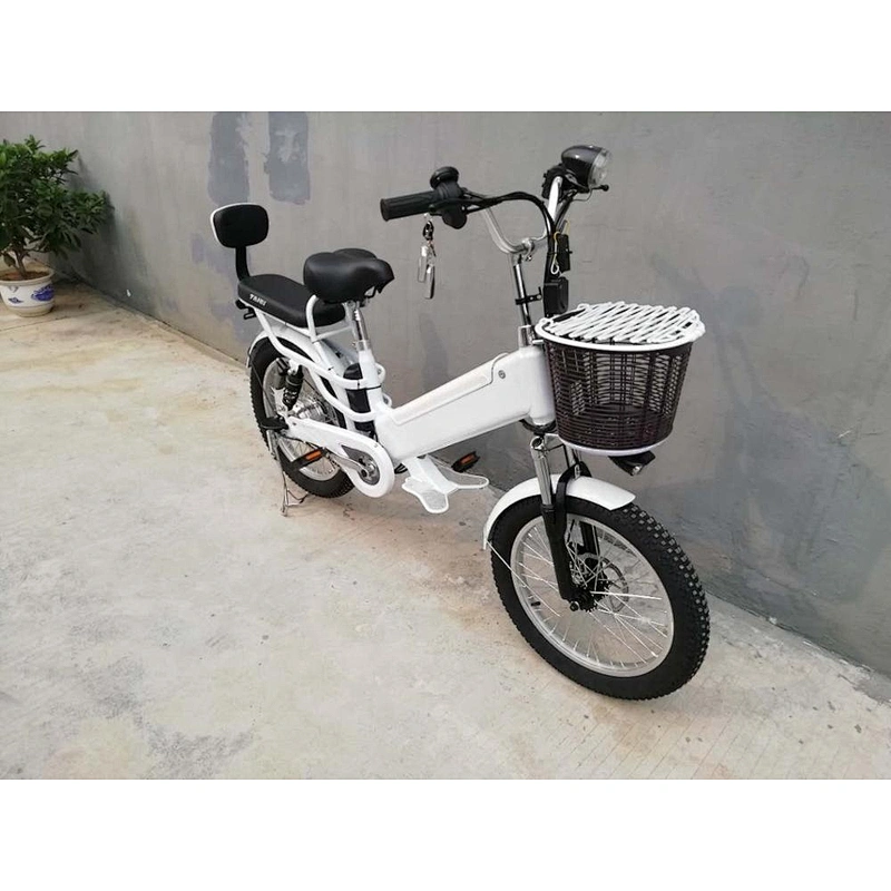 fat tyre 3.0  250-500 W Brushless Motor with 48V/60v 10ah/48VLithium battery electric bike