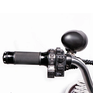 fat tyre 3.0  250-500 W Brushless Motor with 48V/60v 10ah/48VLithium battery electric bike