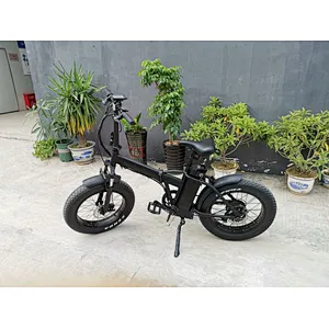 20inch fat tire foldable lithium battery removable charged mountain electric bike