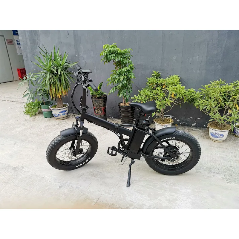 20inch fat tire foldable lithium battery removable charged mountain electric bike