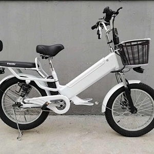 fat tyre 3.0  250-500 W Brushless Motor with 48V/60v 10ah/48VLithium battery electric bike