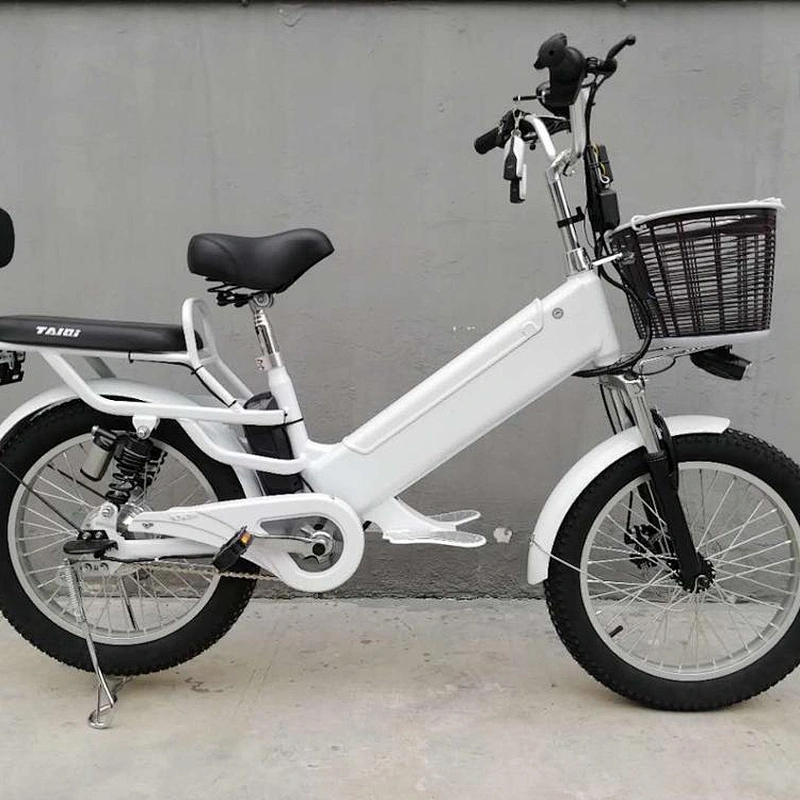 fat tyre 3.0  250-500 W Brushless Motor with 48V/60v 10ah/48VLithium battery electric bike