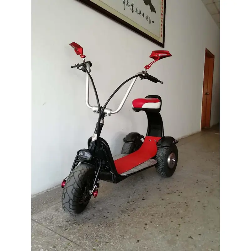 city coco lithium battery  brushless motor250w-1500W off- road 36- 60V 8-30AH 14X6.5 tyre