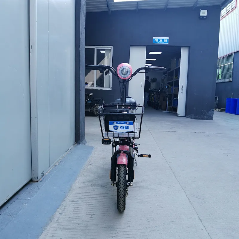 14inch 48v15ah lithium battery 350w motor carbon steel frame electric bike