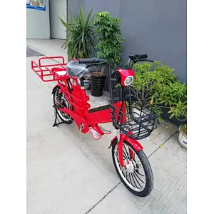 15ah + 10ah/48V two lithium batteries  brushless motor 350W/48V Pizza delivery   electric bike
