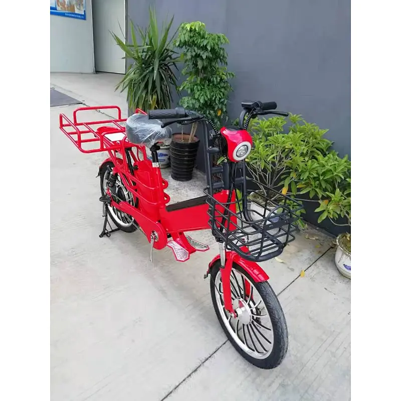 15ah + 10ah/48V two lithium batteries  brushless motor 350W/48V Pizza delivery   electric bike