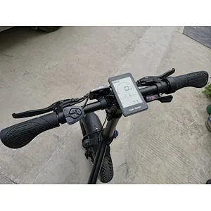 20inch fat tire foldable lithium battery removable charged mountain electric bike