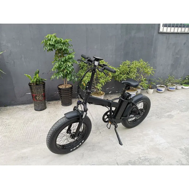 20inch fat tire foldable lithium battery removable charged mountain electric bike
