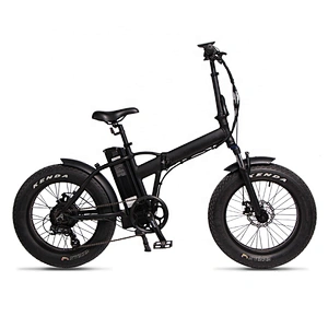 M5 20 inch fat tire aluminum alloy suspension frame mountain electric bike