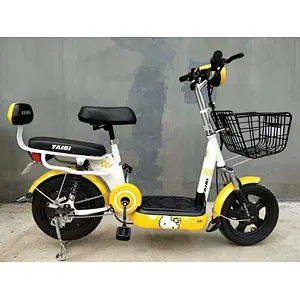 Battery electric bike TAIQI 48V 14 inch  high carbon steel city e bike electric bike 240W COOL EBIKE