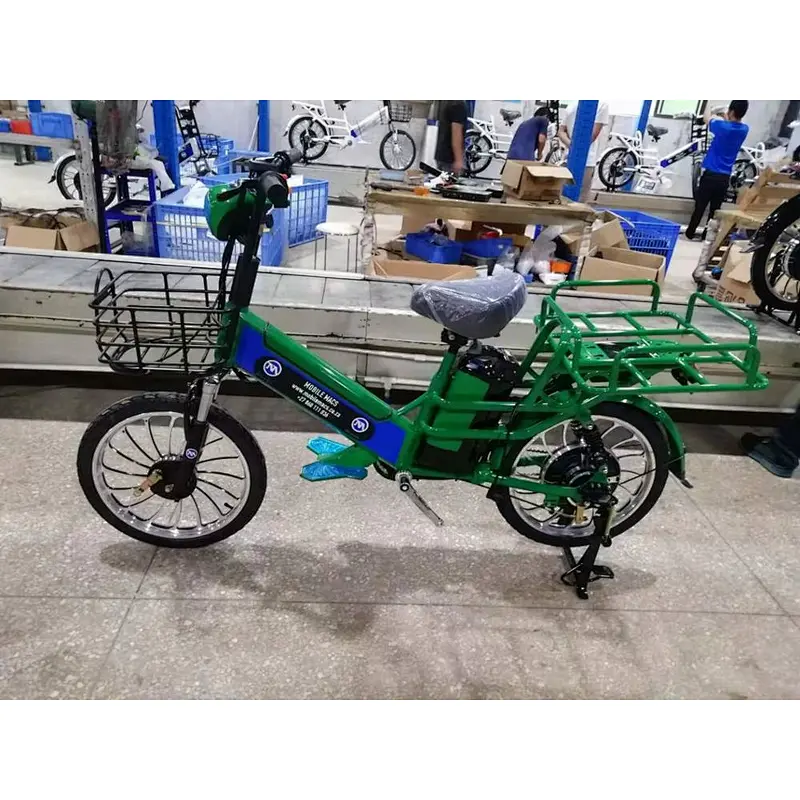 15ah + 10ah/48V two lithium batteries  brushless motor 350W/48V Pizza delivery   electric bike
