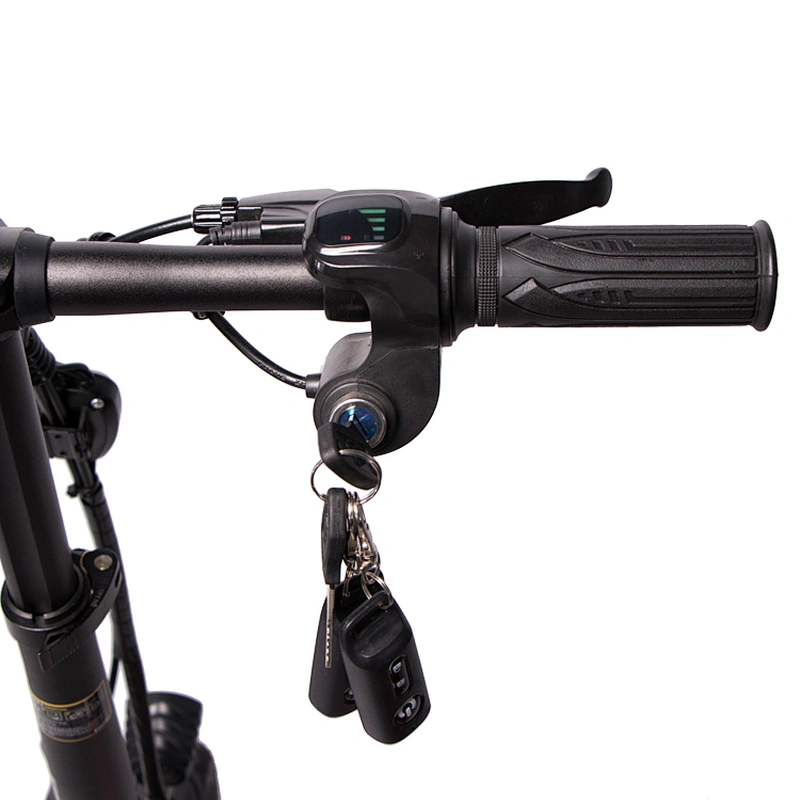 14 inch carbon steel suspension foldable frame 48V350W brushless motor 48V10AH lithium battery electric bike