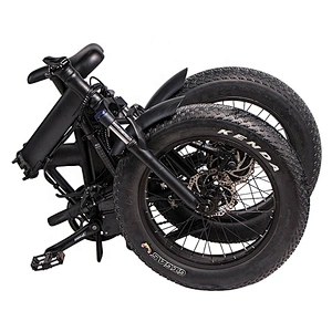 M5 20 inch fat tire aluminum alloy suspension frame mountain electric bike
