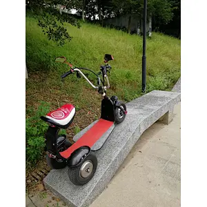 city coco lithium battery  brushless motor250w-1500W off- road 36- 60V 8-30AH 14X6.5 tyre