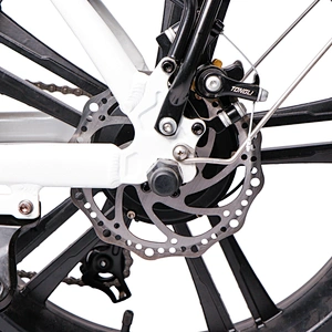 Adult foldable road ebike 20''x4.0 tyres 48V350W motor 10ah/48V lithium removable battery electric bike