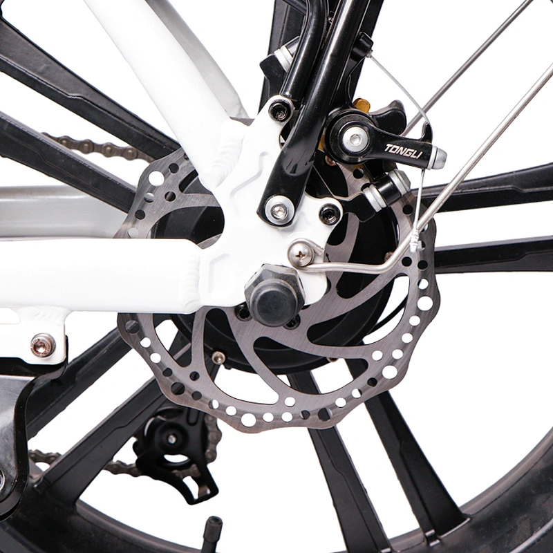 Adult foldable road ebike 20''x4.0 tyres 48V350W motor 10ah/48V lithium removable battery electric bike