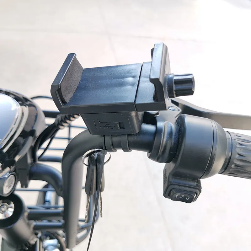 Double lithium batteries carbon steel frame 48v350w food delivery electric bike