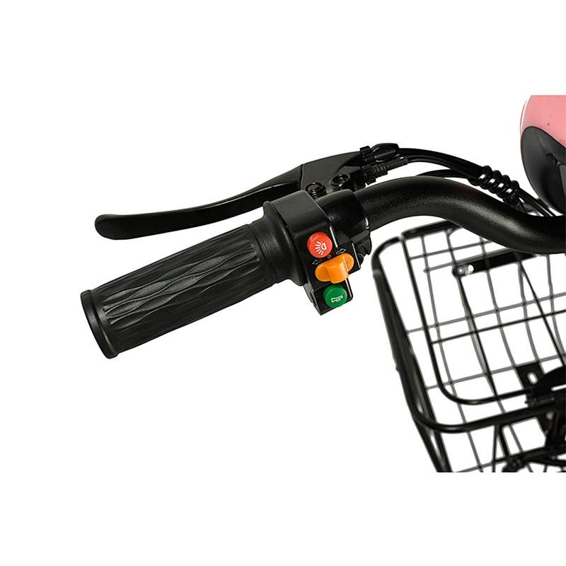 Battery electric 250-350W  brushless Motor with 48V 10-15Ah Removable Lithium Battery electric city bike