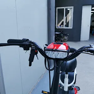 14inch 48V lead-acid battery 250W brushless motor city ebike