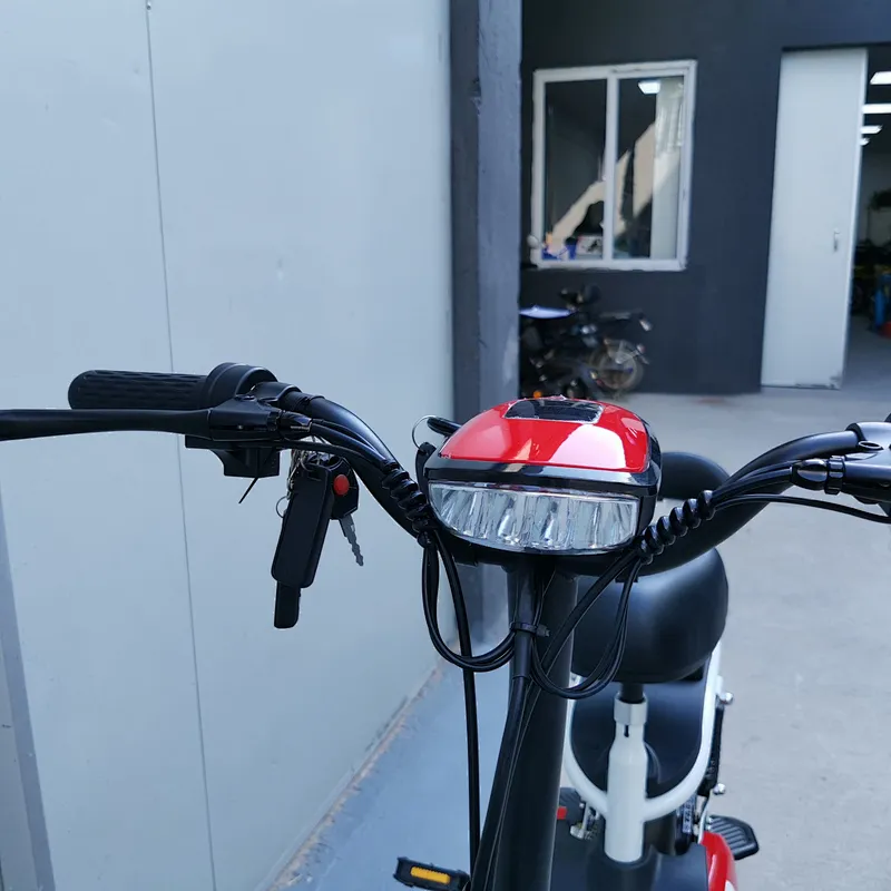 14inch 48V lead-acid battery 250W brushless motor city ebike