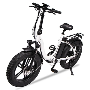 Adult 20 inch AL-ALLOY 6061# Fframe 48V350W brushless 48V10AH lithium battery foldable electric bike