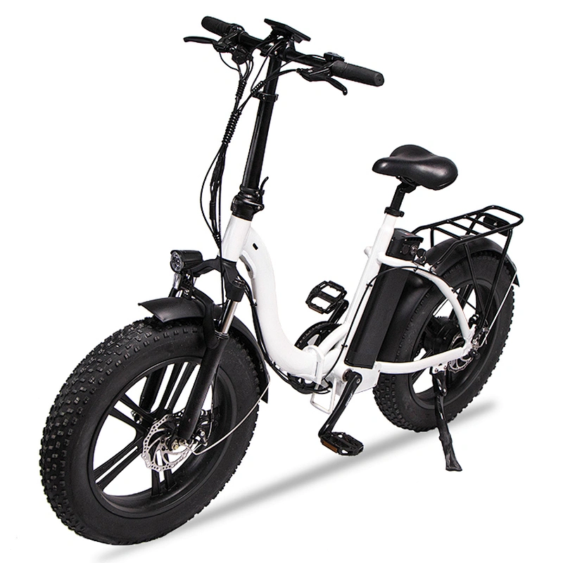Adult 20 inch AL-ALLOY 6061# Fframe 48V350W brushless 48V10AH lithium battery foldable electric bike