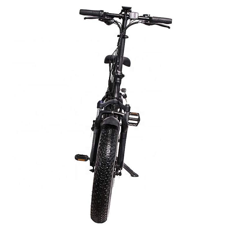 M5 20 inch fat tire aluminum alloy suspension frame mountain electric bike
