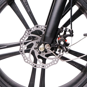 Adult foldable road ebike 20''x4.0 tyres 48V350W motor 10ah/48V lithium removable battery electric bike