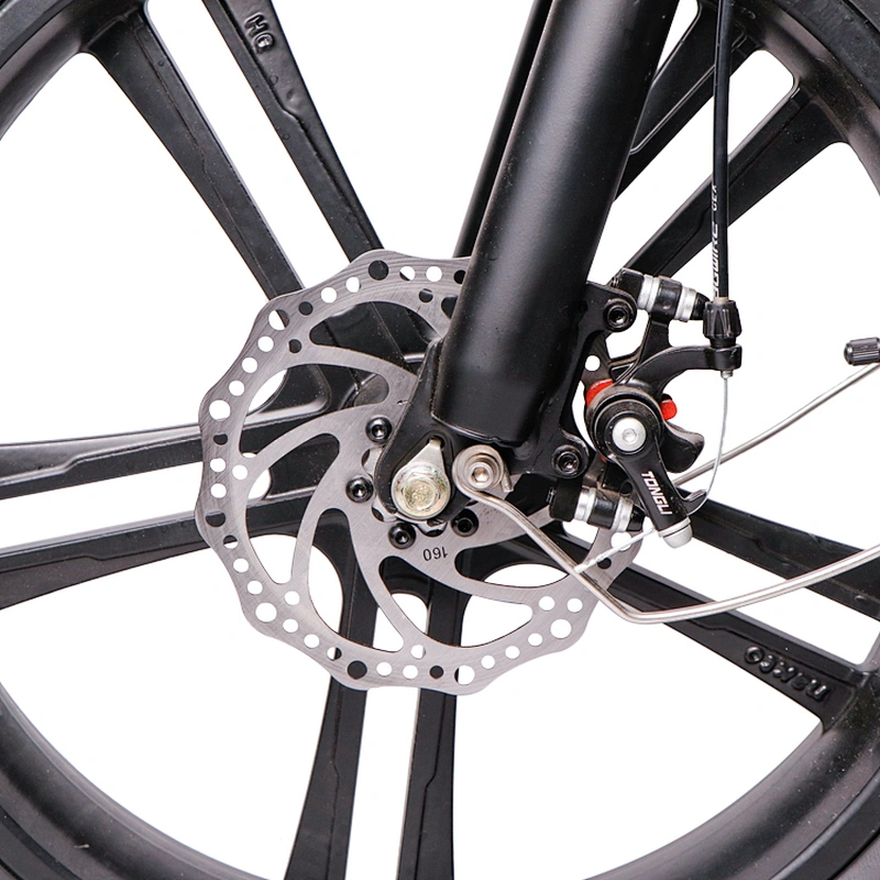 Adult foldable road ebike 20''x4.0 tyres 48V350W motor 10ah/48V lithium removable battery electric bike