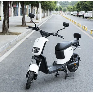 120km range Lithium battery electric bike  350W/500W 20ah /48V high carbon steel frame  14