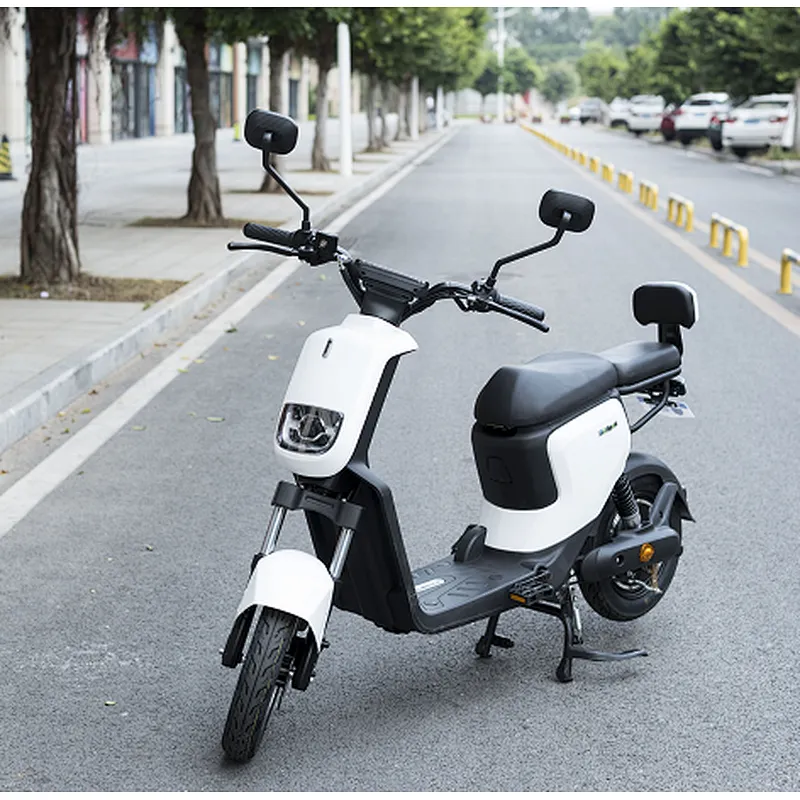 120km range Lithium battery electric bike  350W/500W 20ah /48V high carbon steel frame  14