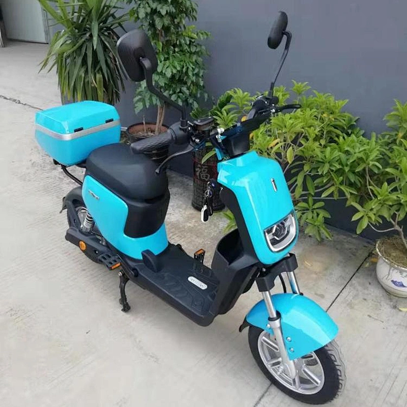 120km range Lithium battery electric bike  350W/500W 20ah /48V high carbon steel frame  14