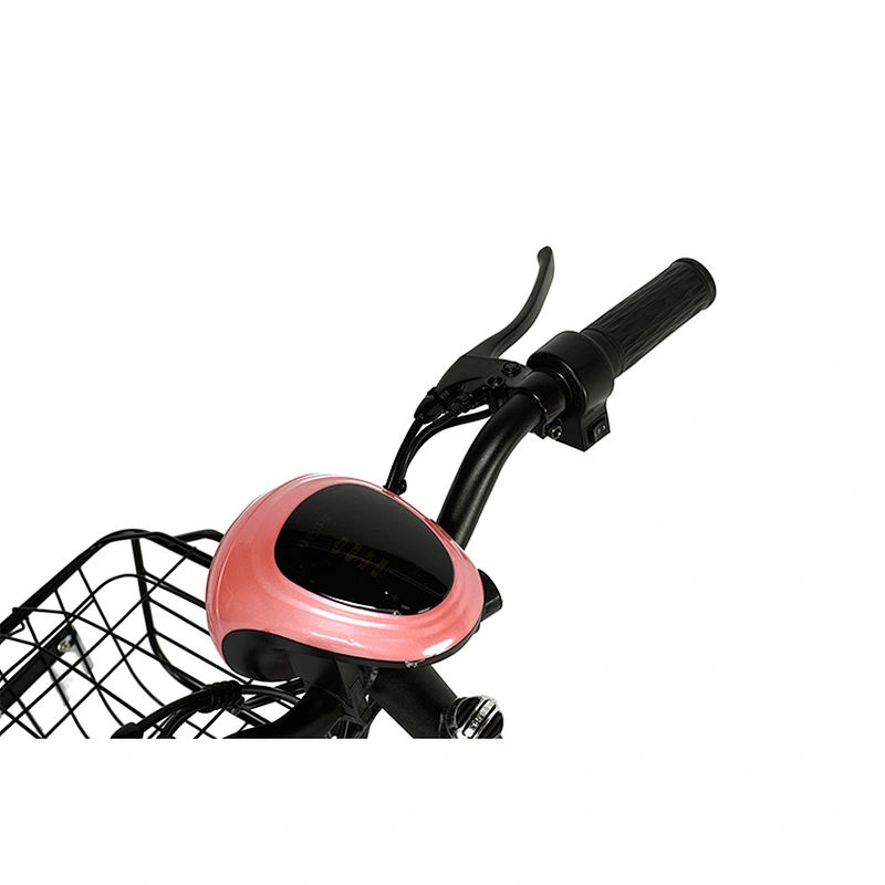 Battery electric 250-350W  brushless Motor with 48V 10-15Ah Removable Lithium Battery electric city bike