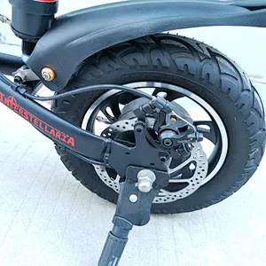 lithium battery electric bike foldable 250-350W 36V/48V 12inch steel/al-alloy feame