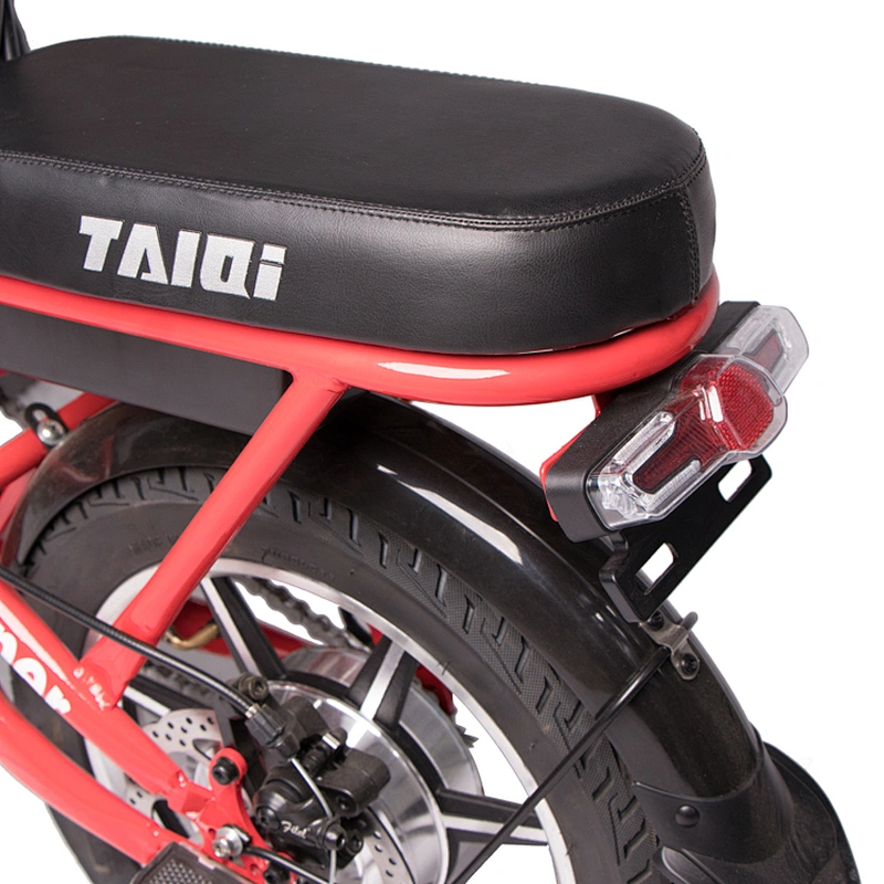 14 inch carbon steel suspension foldable frame 48V350W brushless motor 48V10AH lithium battery electric bike