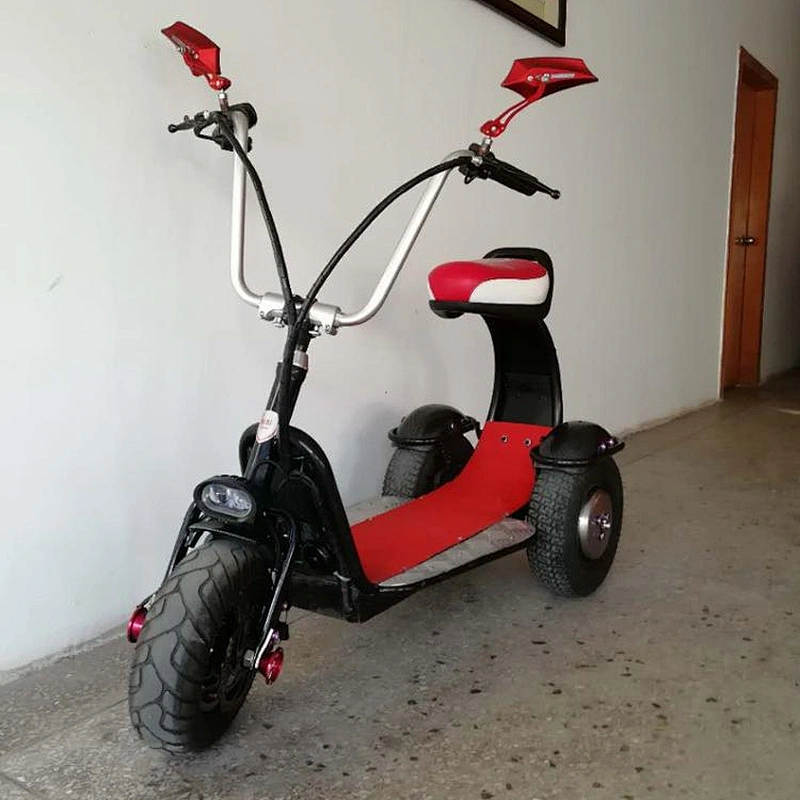 city coco lithium battery  brushless motor250w-1500W off- road 36- 60V 8-30AH 14X6.5 tyre