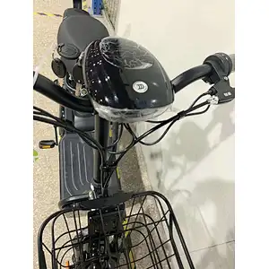 lead-acid battery 48V/36V 10-15Ah  350 Watt Brushless Motor  high carbon steel frame 14