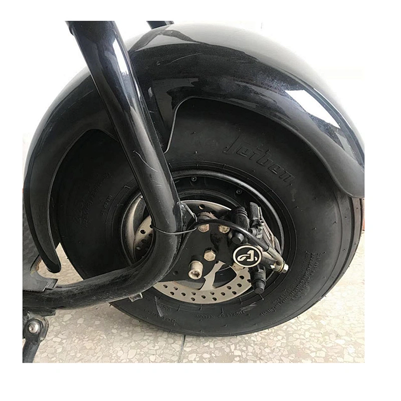 H2 2020 fashion 1000w motor 60v 12ah lithium battery  city COCO electric bike