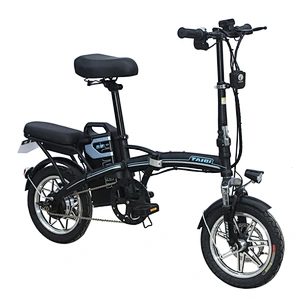 Lithium electric bike Brushless Motor with 48V 10-15Ah Removable Battery high carbon steel frame DIDI